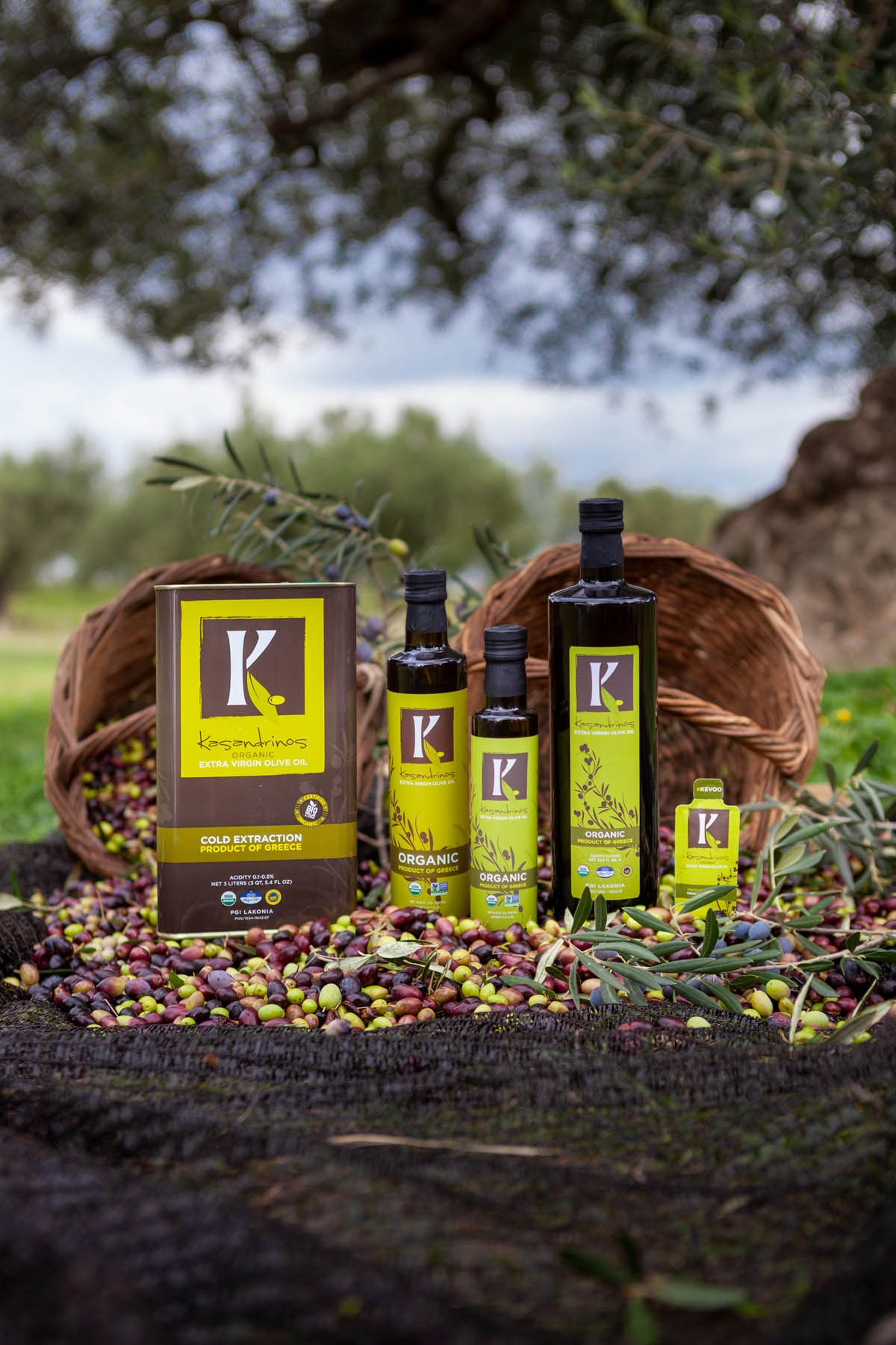 Extra Virgin Olive Oil