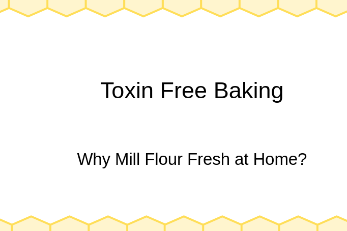 Toxin-Free Baking: The Health Benefits of Milling Your Flour Fresh