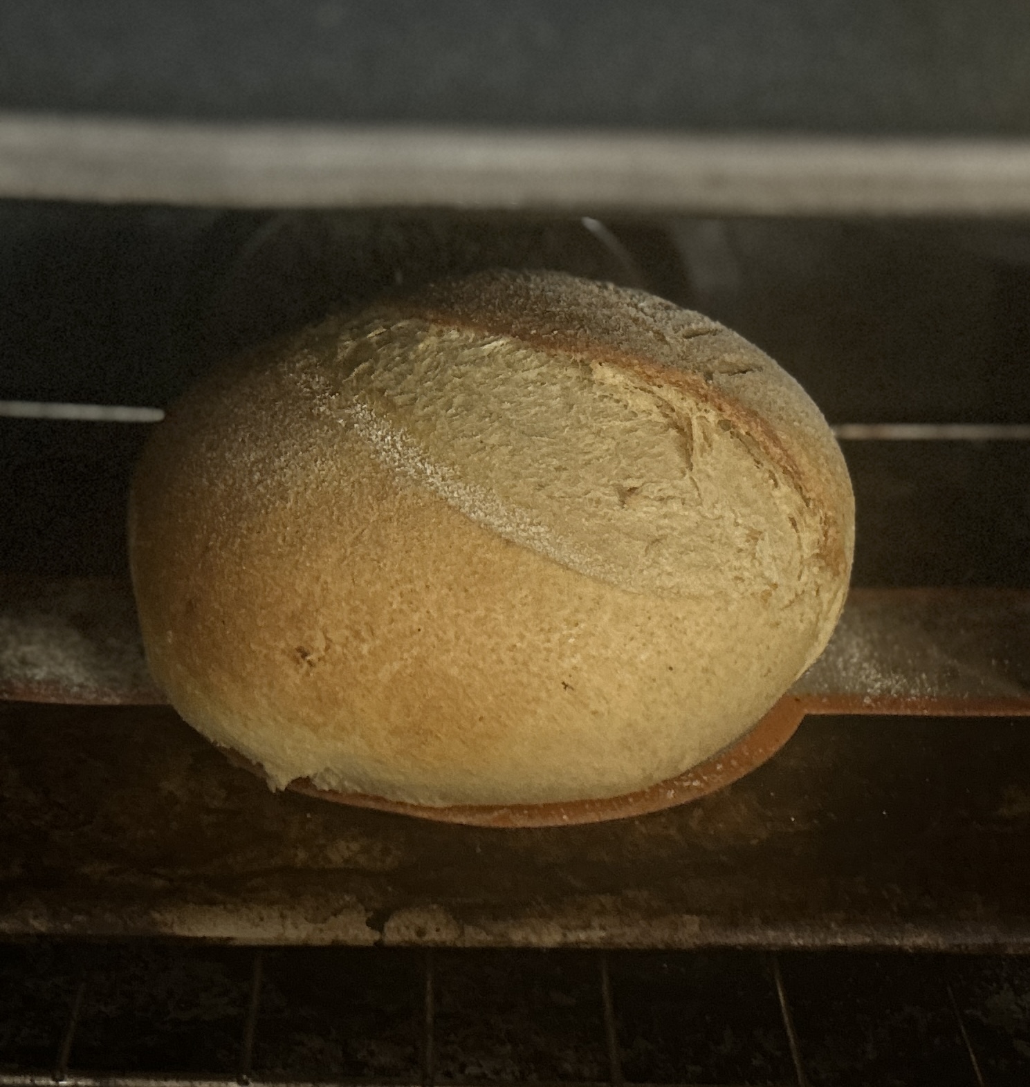 Italian Bread Bases