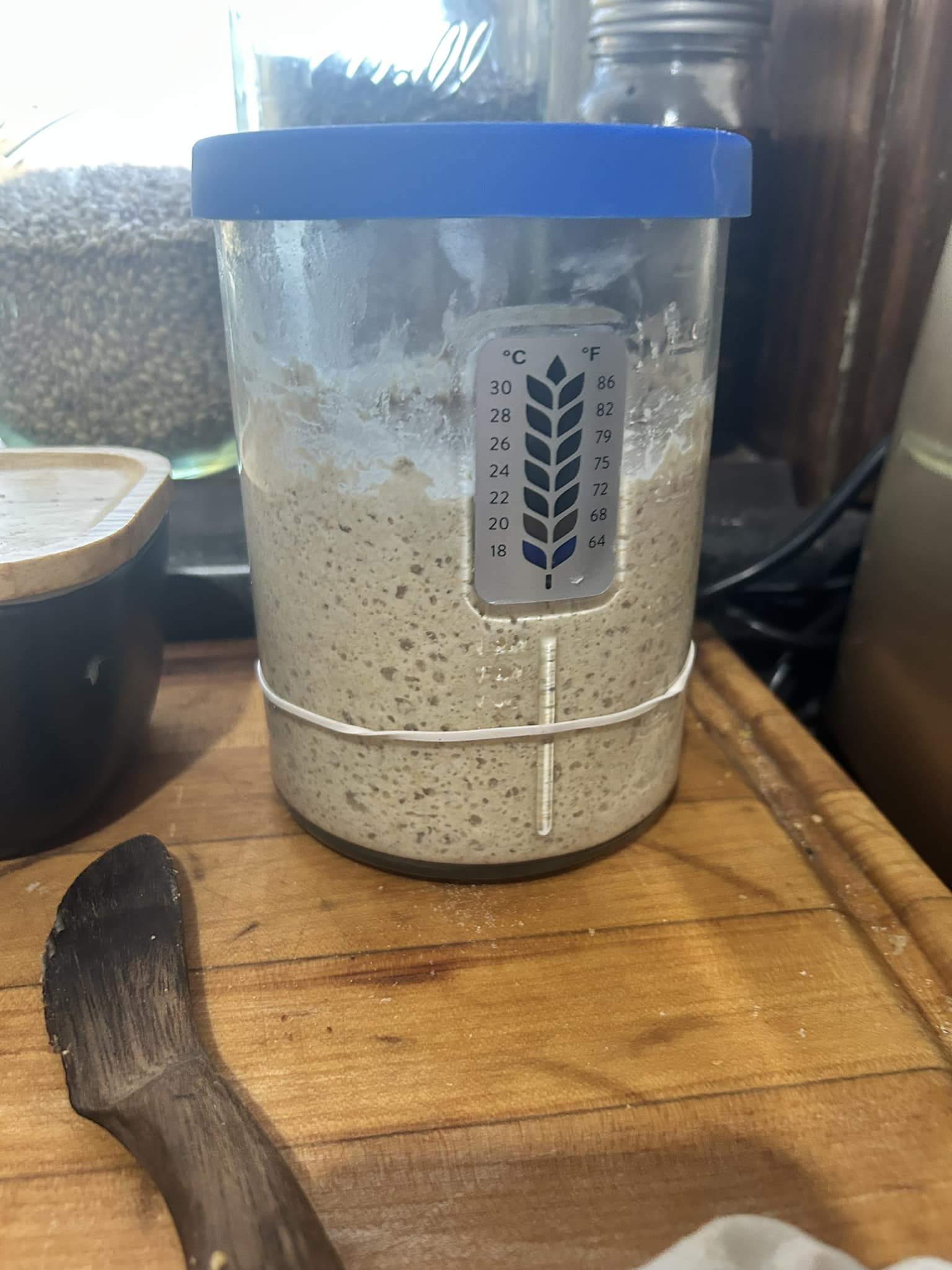 Fresh Milled Stiff Sourdough Starter