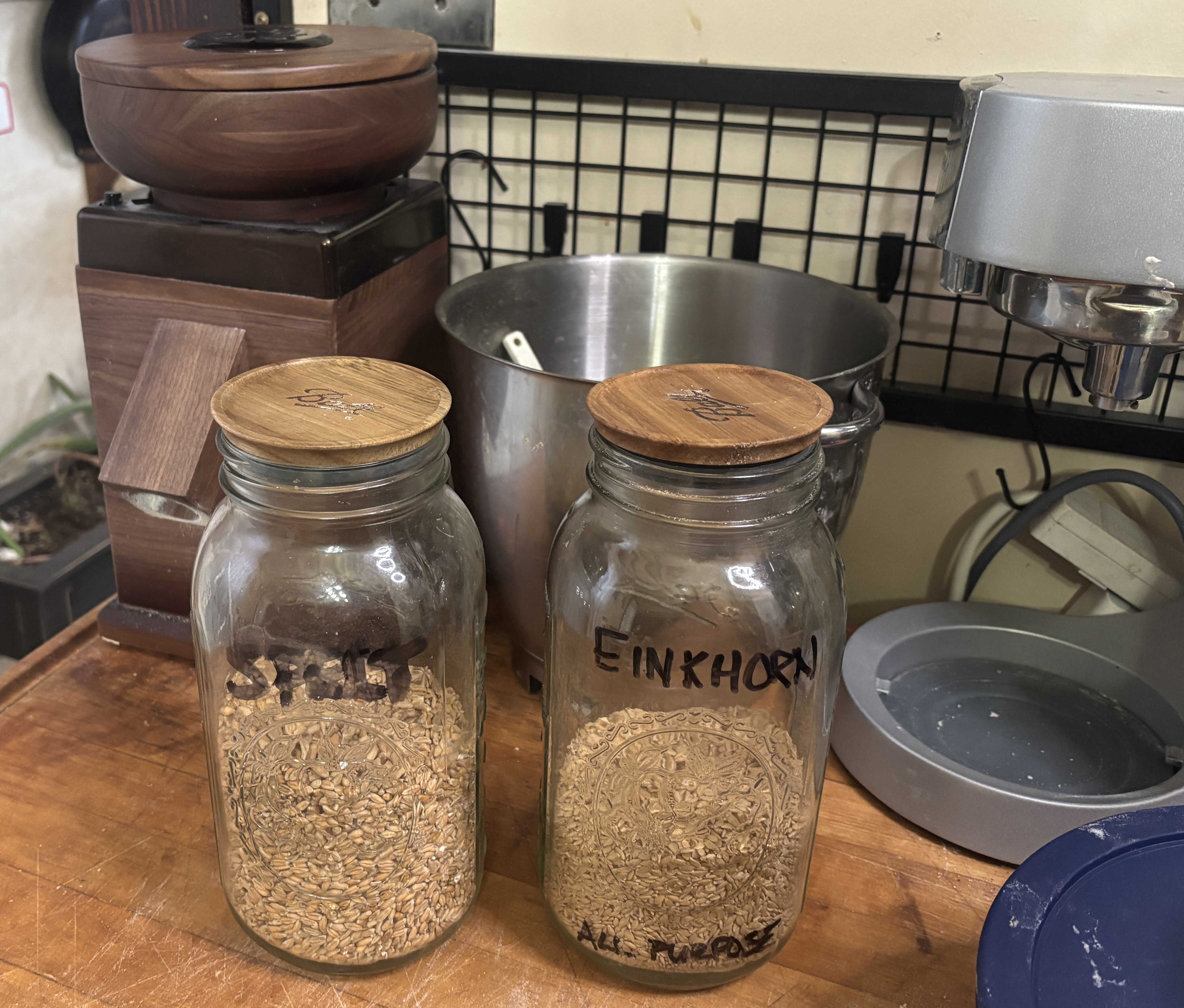 Spelt vs. Einkorn: The Ultimate Battle of Ancient Grains