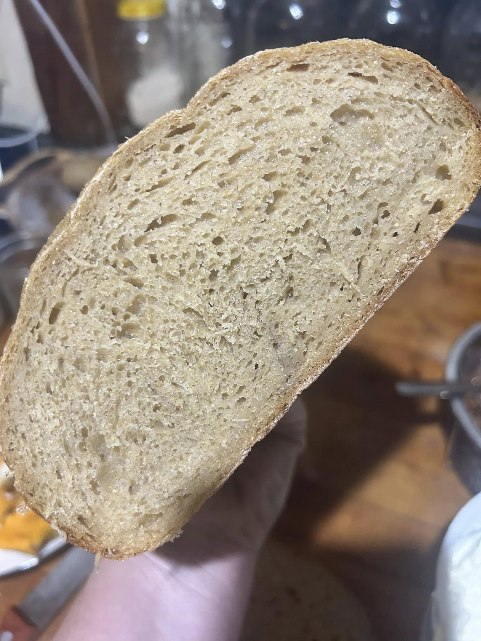 High Hydration Rustic Italian Bread with Whole Wheat Flour